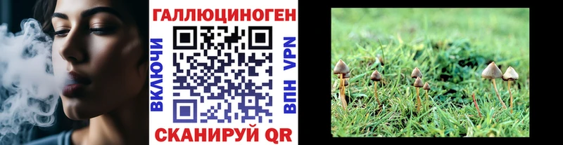 цена   Сосновка  Галлюциногенные грибы мицелий 